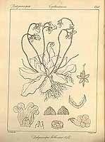  no thumbnail available