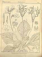  no thumbnail available