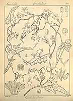  no thumbnail available