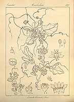  no thumbnail available