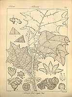  no thumbnail available