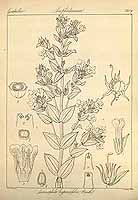  no thumbnail available