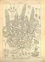  no thumbnail available