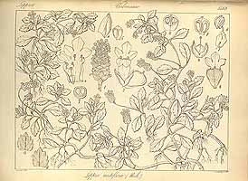  no thumbnail available