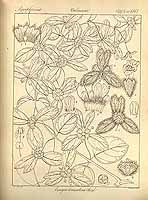  no thumbnail available