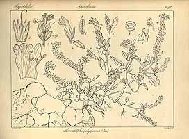  no thumbnail available