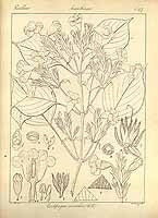  no thumbnail available