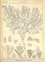  no thumbnail available