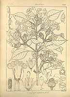  no thumbnail available