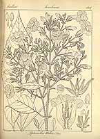  no thumbnail available