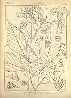  no thumbnail available