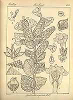  no thumbnail available