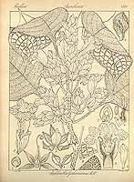  no thumbnail available