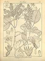  no thumbnail available