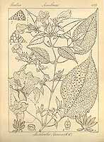  no thumbnail available