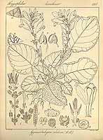  no thumbnail available