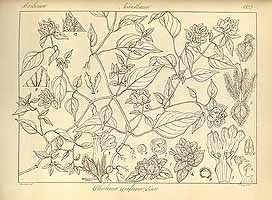  no thumbnail available