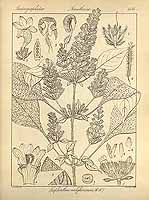  no thumbnail available