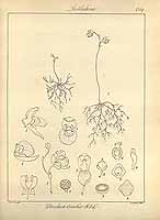  no thumbnail available