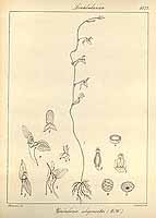  no thumbnail available