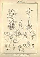  no thumbnail available