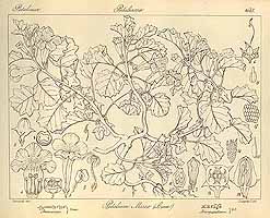  no thumbnail available