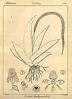  no thumbnail available