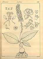  no thumbnail available