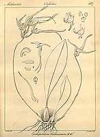  no thumbnail available