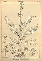  no thumbnail available