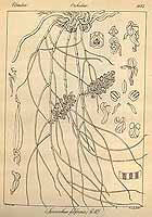  no thumbnail available