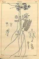  no thumbnail available