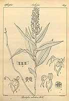  no thumbnail available