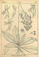  no thumbnail available