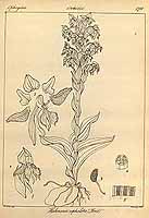  no thumbnail available