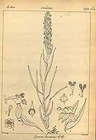  no thumbnail available