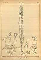  no thumbnail available