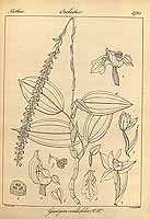  no thumbnail available