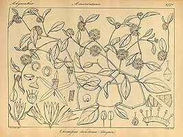  no thumbnail available