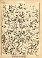  no thumbnail available