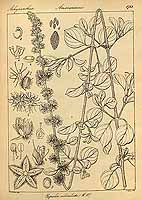  no thumbnail available