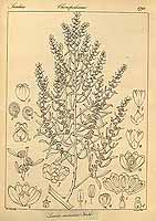  no thumbnail available