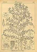  no thumbnail available