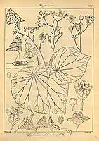  no thumbnail available