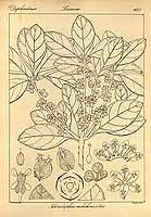  no thumbnail available