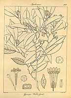  no thumbnail available