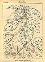  no thumbnail available