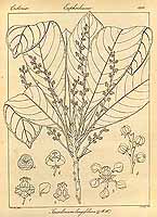  no thumbnail available