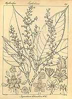  no thumbnail available