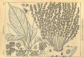  no thumbnail available